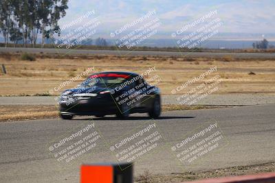 media/Nov-16-2024-CalClub SCCA (Sat) [[641f3b2761]]/Group 4/Grid and Front Straight/